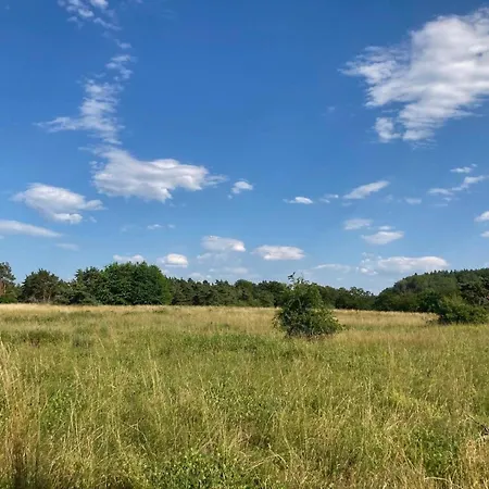 Teilen Sie Den Urlaub Mit Freunden - Ferienhaus Am Mit 2 Privaten * Frielendorf